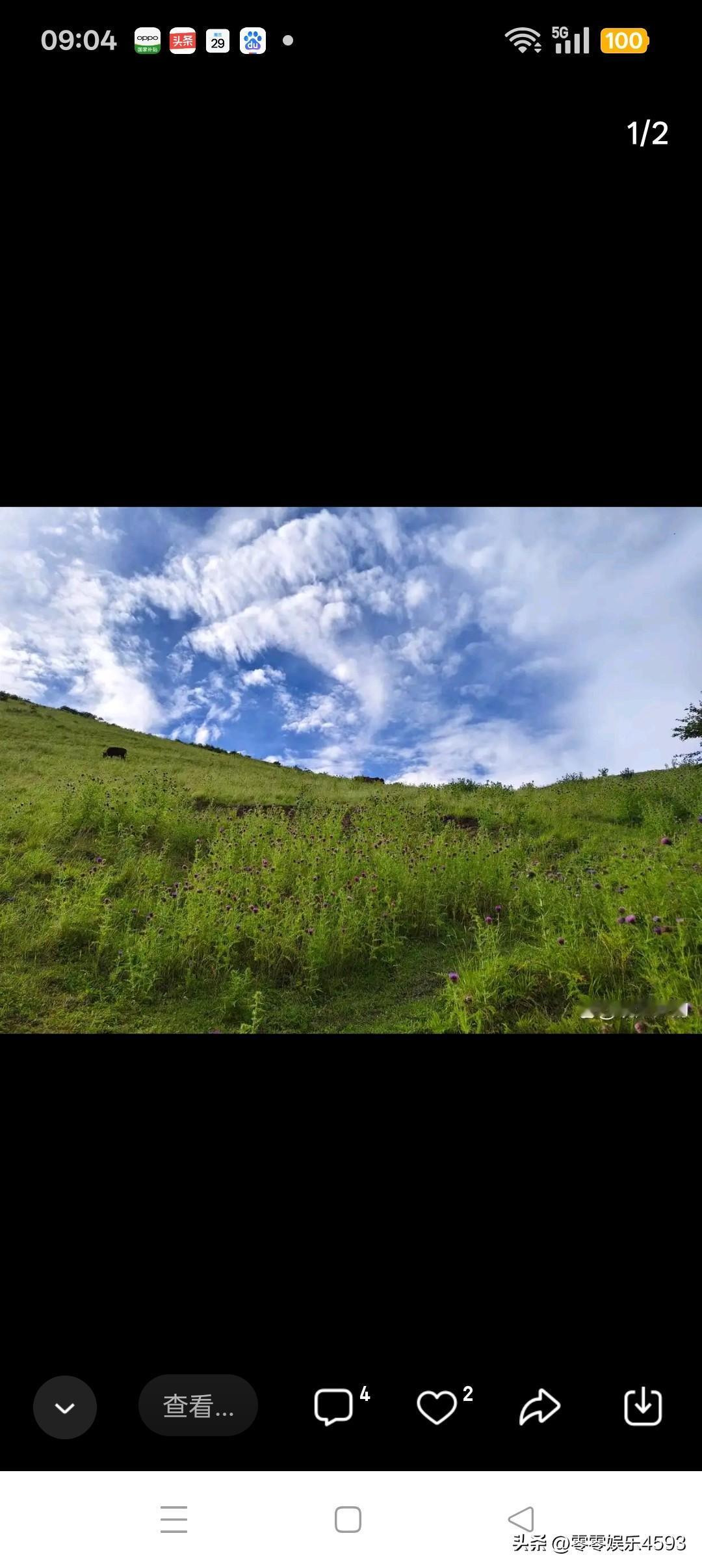 分享一句励志的文案给正在努力的人人生就像一盘棋，我愿做那勇往直前的卒子，虽慢但坚