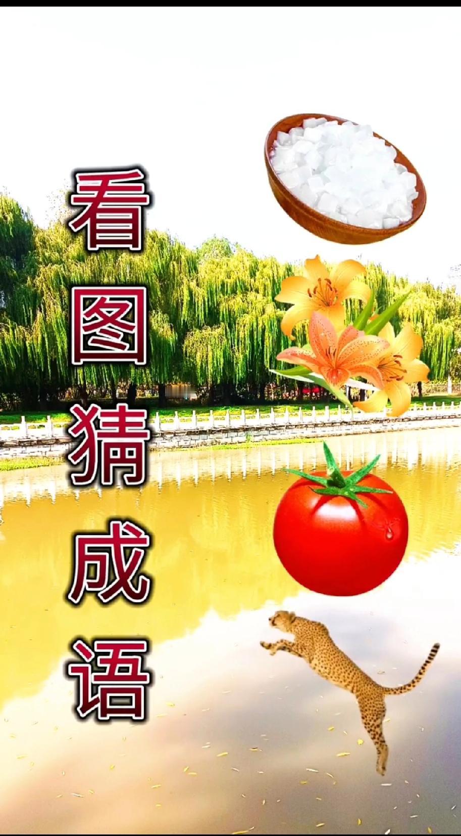 救命！这成语题把我难住了：盐、花、番茄、豹子，到底是啥？