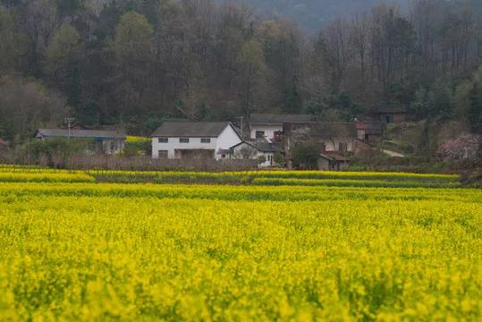 官宣！2026年中小学春假来了，多地已安排！
 
2026年政府工作报告明确：支