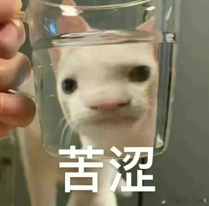 #杭州班味儿这么重吗#好好好，看见杭州这样的班味也是相当的真实，只能说太具有带入