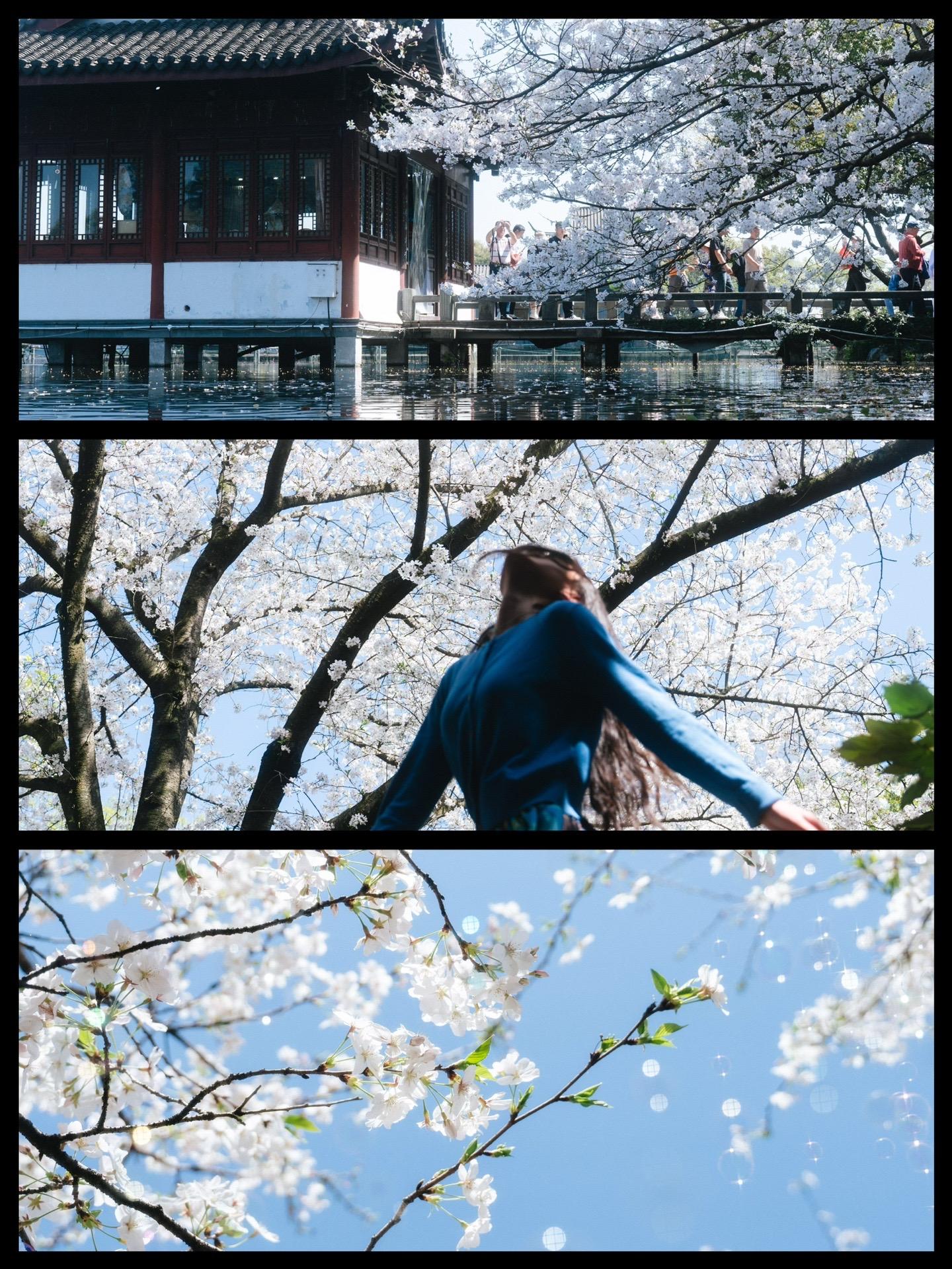 抬头就能看得见春天。