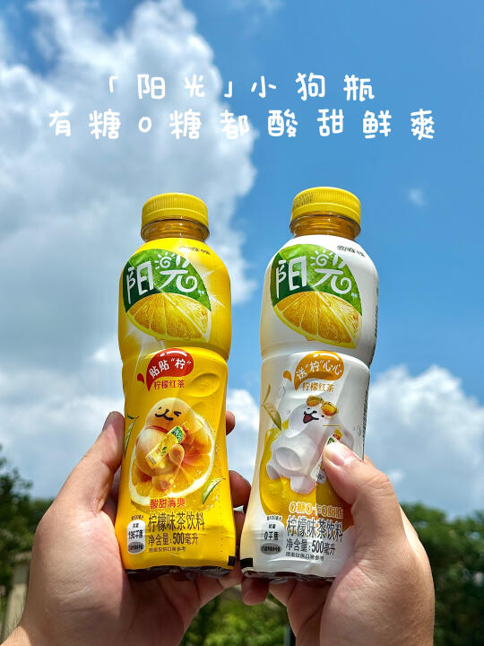 怎么没人告诉我「阳光」茶！换包装啦