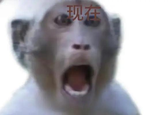 现在男的找媳妇太贵了，尤其找农村媳妇