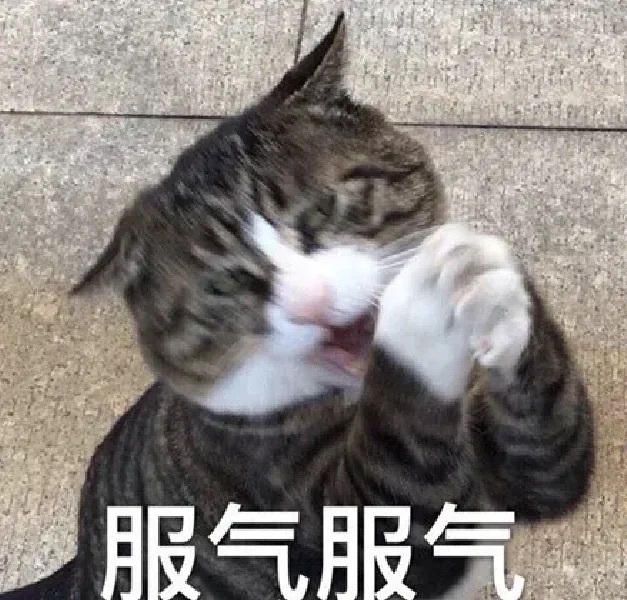 可爱实用的表情包 ​​​