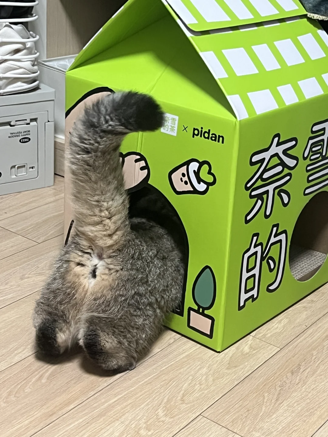 我以为会糊的照片，结果大爆