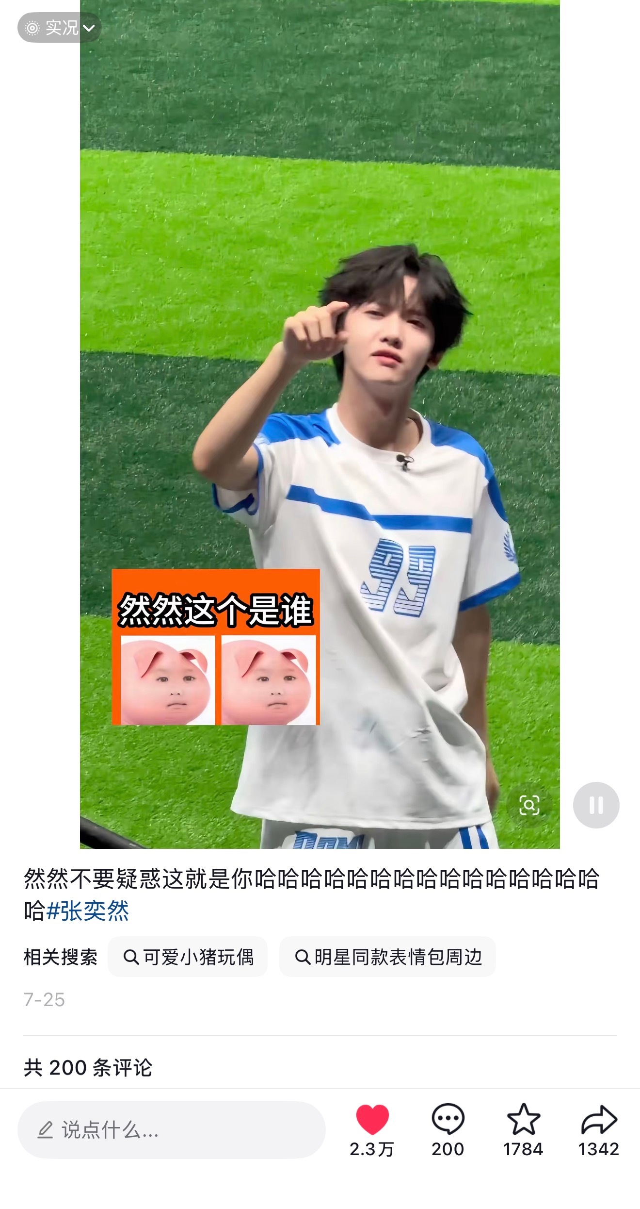 这个ip作为一个见过张奕然有2.3w赞的饭撒且在下沉有一定出圈体量的ip一棒子打