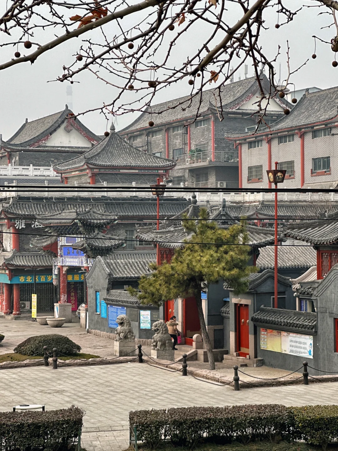 青岛秘密基地｜四海之内白云之下，只此一观