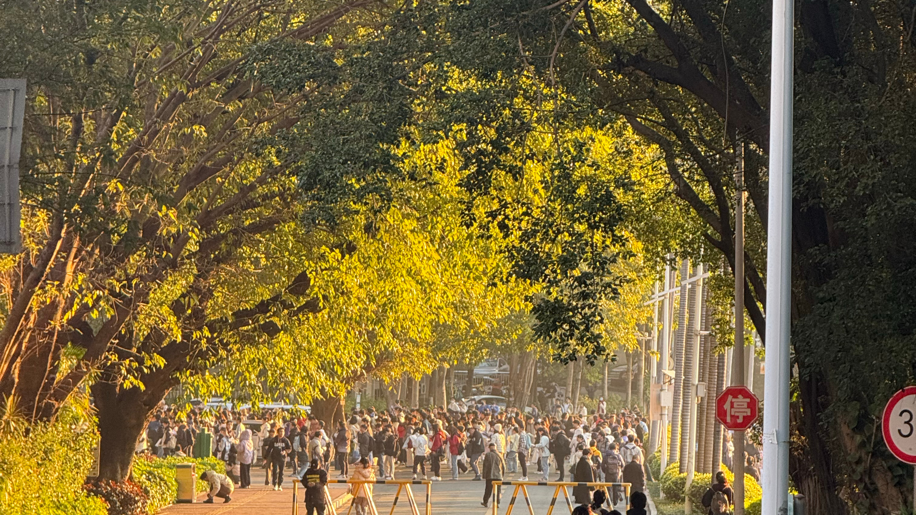 大清早好多人啊还以为是军训考生加油👏  