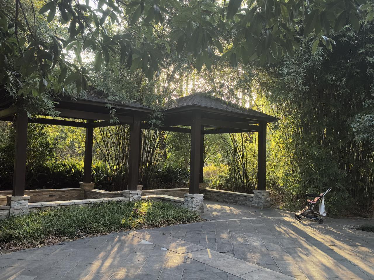 【老蒋谜艺（249）】
谜面:不要卜卦就行
谜目:字一
谜底:街
解读:审视谜面