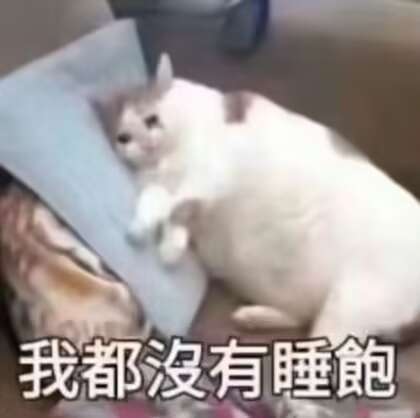 “五一，我从未想过让你流泪。” ​​​