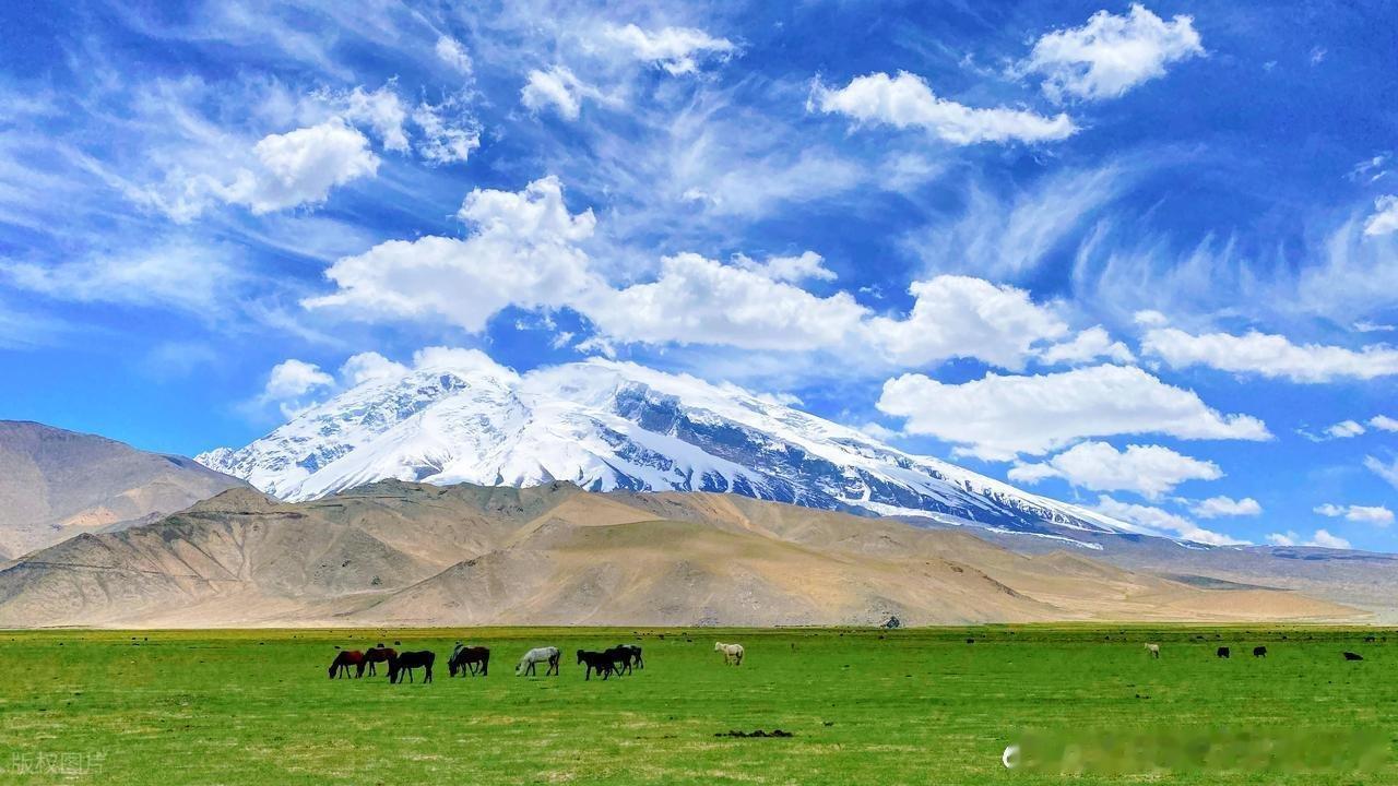 奔赴新疆，赴一场山河之约🏔️ 赛里木湖蓝得治愈，那拉提草原绿得辽阔，雪山映着晴