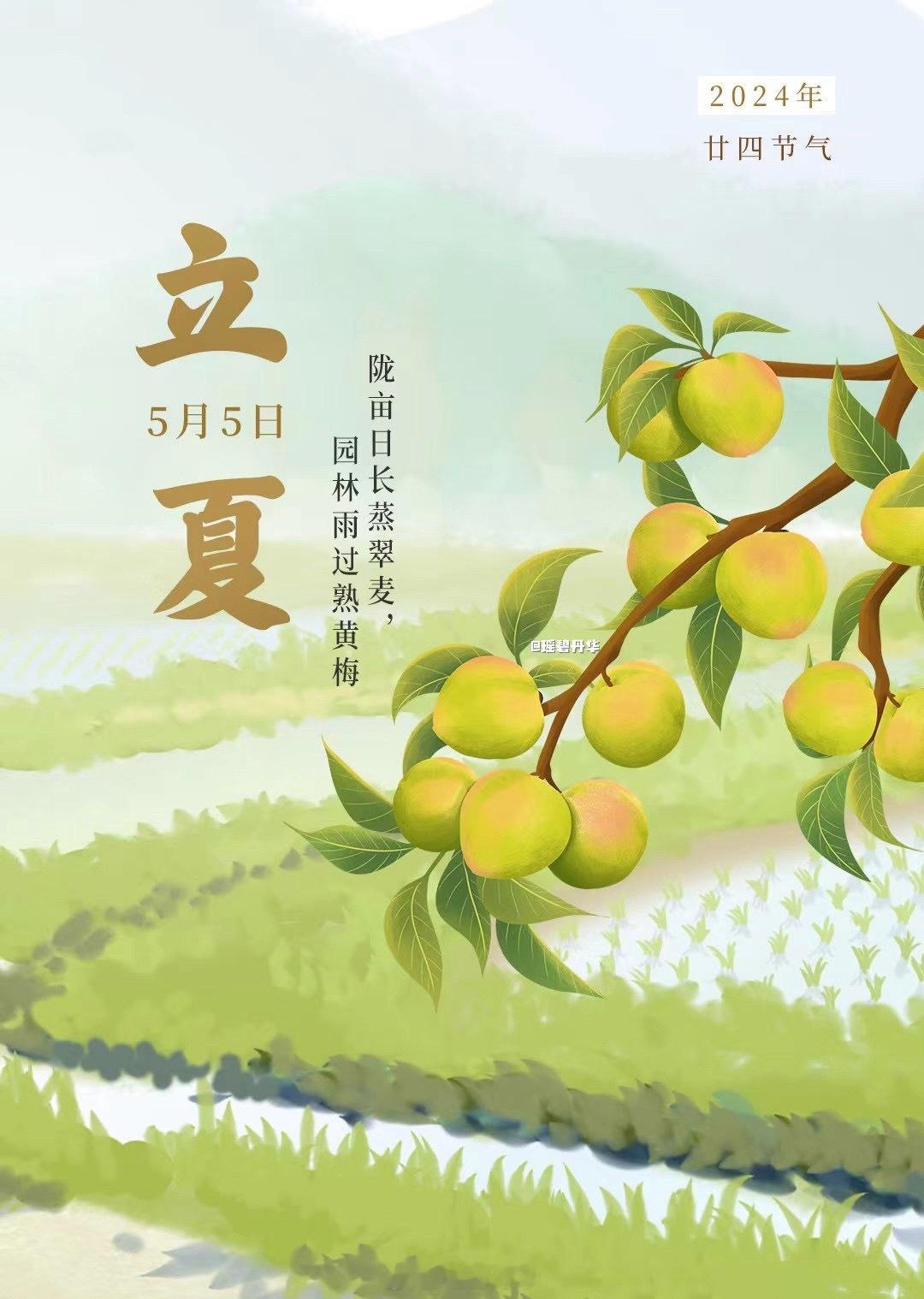#立夏的硬核养生#立夏是二十四节气中的第7个节气，夏季的第一个节气，表示盛夏时节