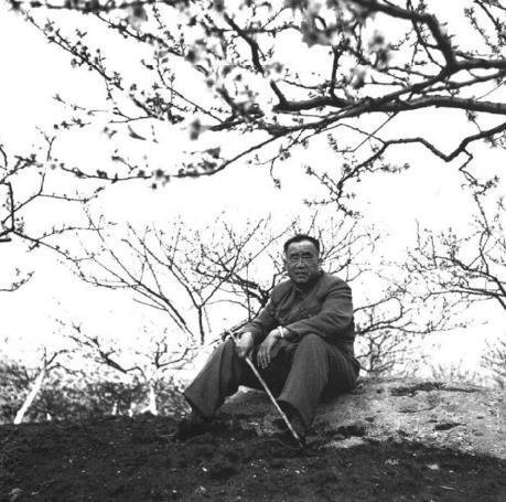 朱德在杭州(1954年)。