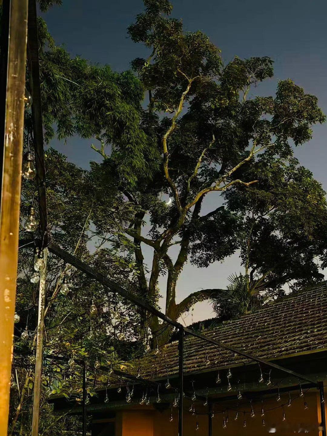 周也随拍美出圈！分享的漂亮风景里，蓝天如洗、云朵似棉，自带秋日松弛感，仿佛隔着屏