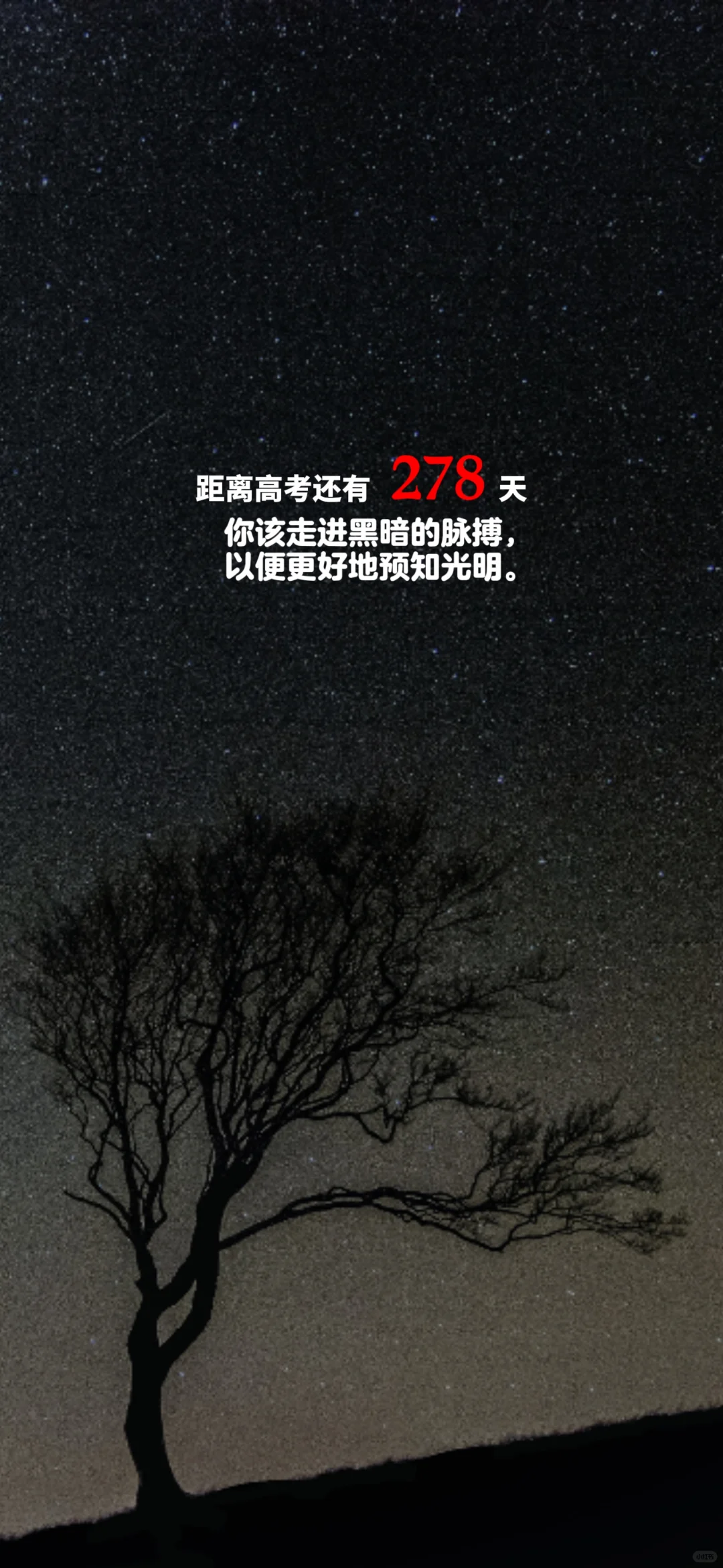 2025高考倒计时，每日更新。