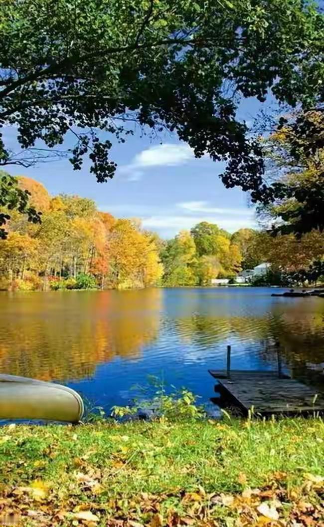 体检单上七个红箭头，医生敲着桌子警告：“再熬夜等于自杀。”那晚我扔掉所有咖啡，却