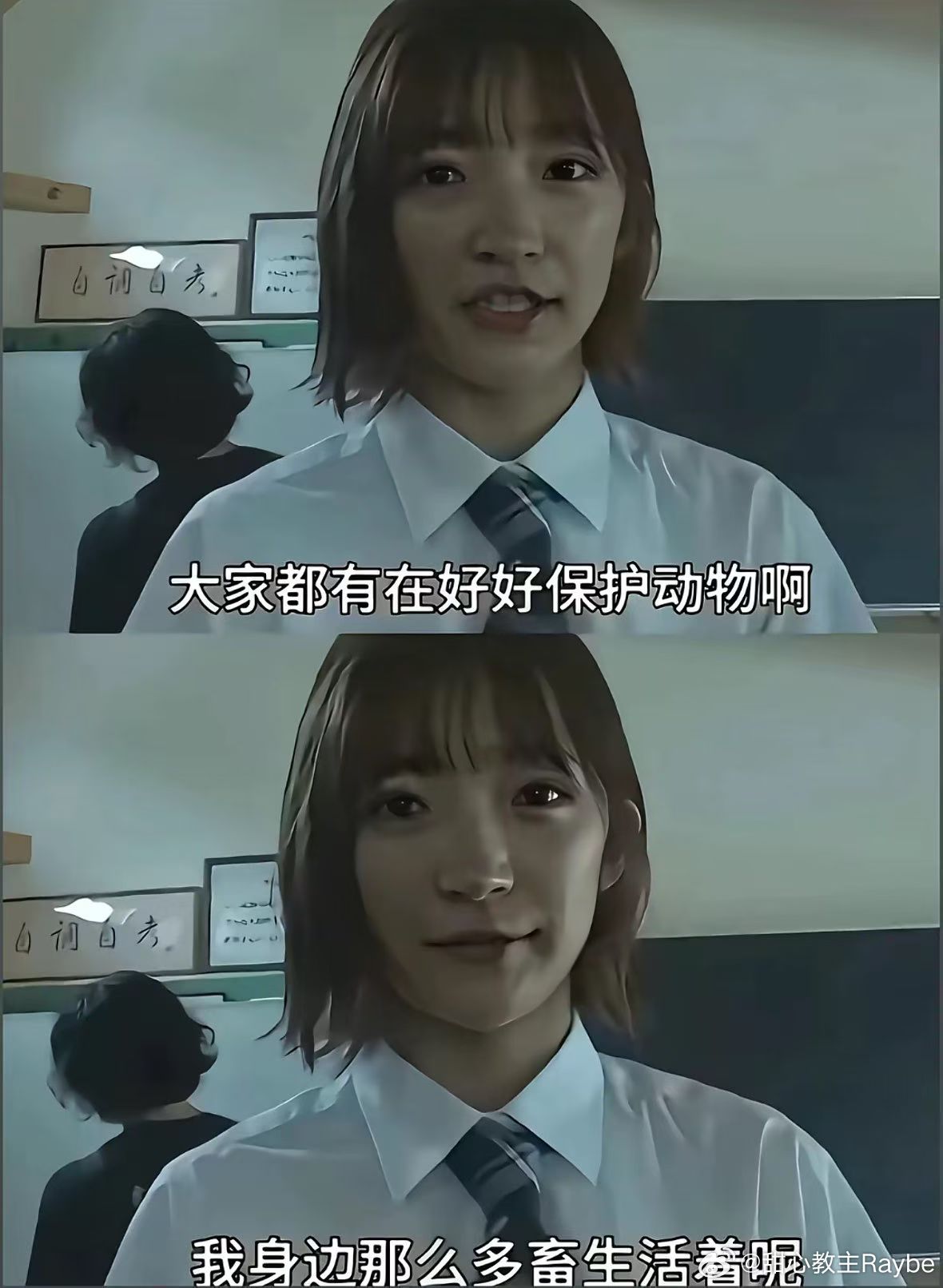 这个世界真的有好好爱护动物呢 ​​​