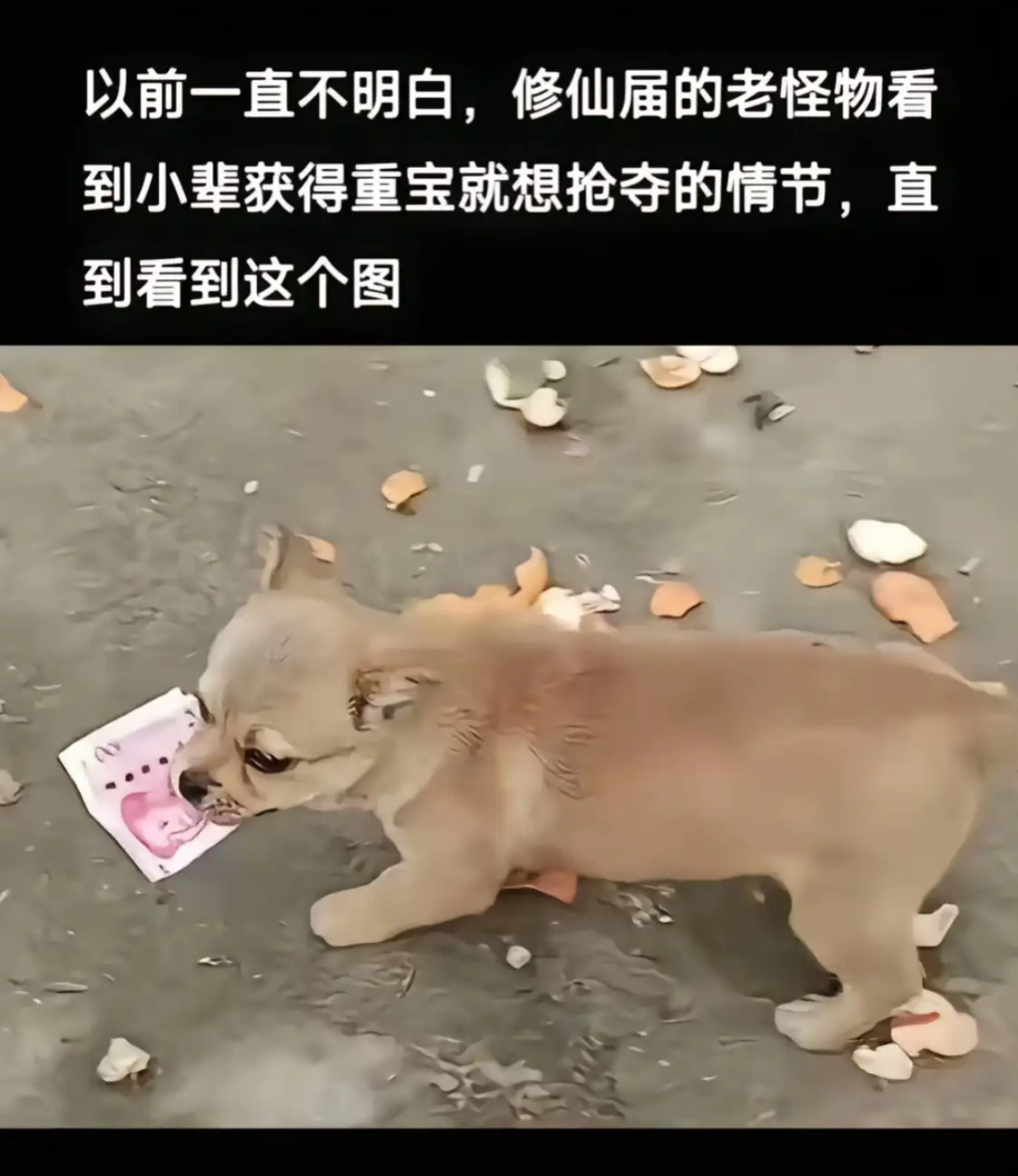 以前一直不明白，修仙届的老怪物看到小辈获得重宝就想抢夺的情节，直到看到这个图 ​