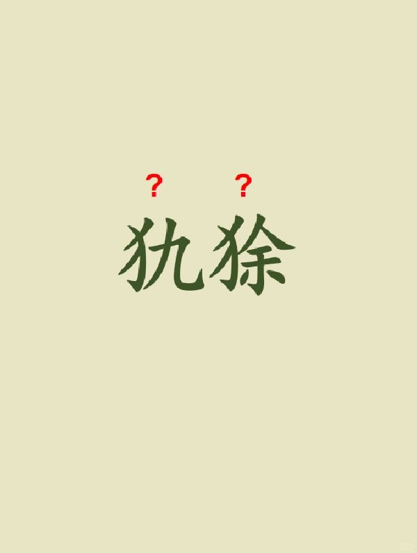 今天来学习——犰狳