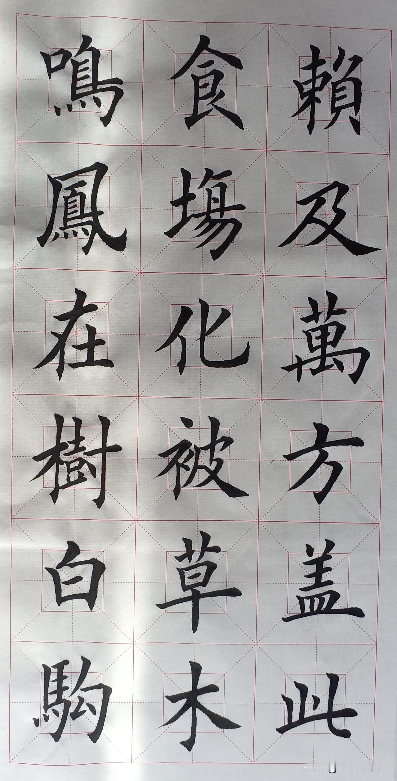 鸣凤在竹凤凰鸣，
白驹食场觅食情。
化被草木民安和，
赖及万方百姓荣。