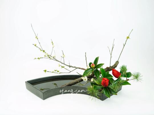 磬口山茶绿萼梅，深红浅白一时开。