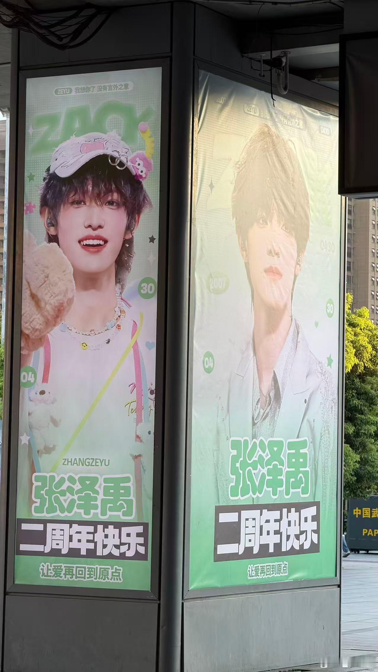 打卡张泽禹应援  ​​​