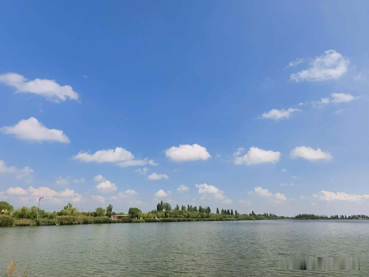 随手拍一张你城市的蓝天景色湖面沉静无波，蓝天铺展，云朵闲散浮在天际。沿岸绿树连绵
