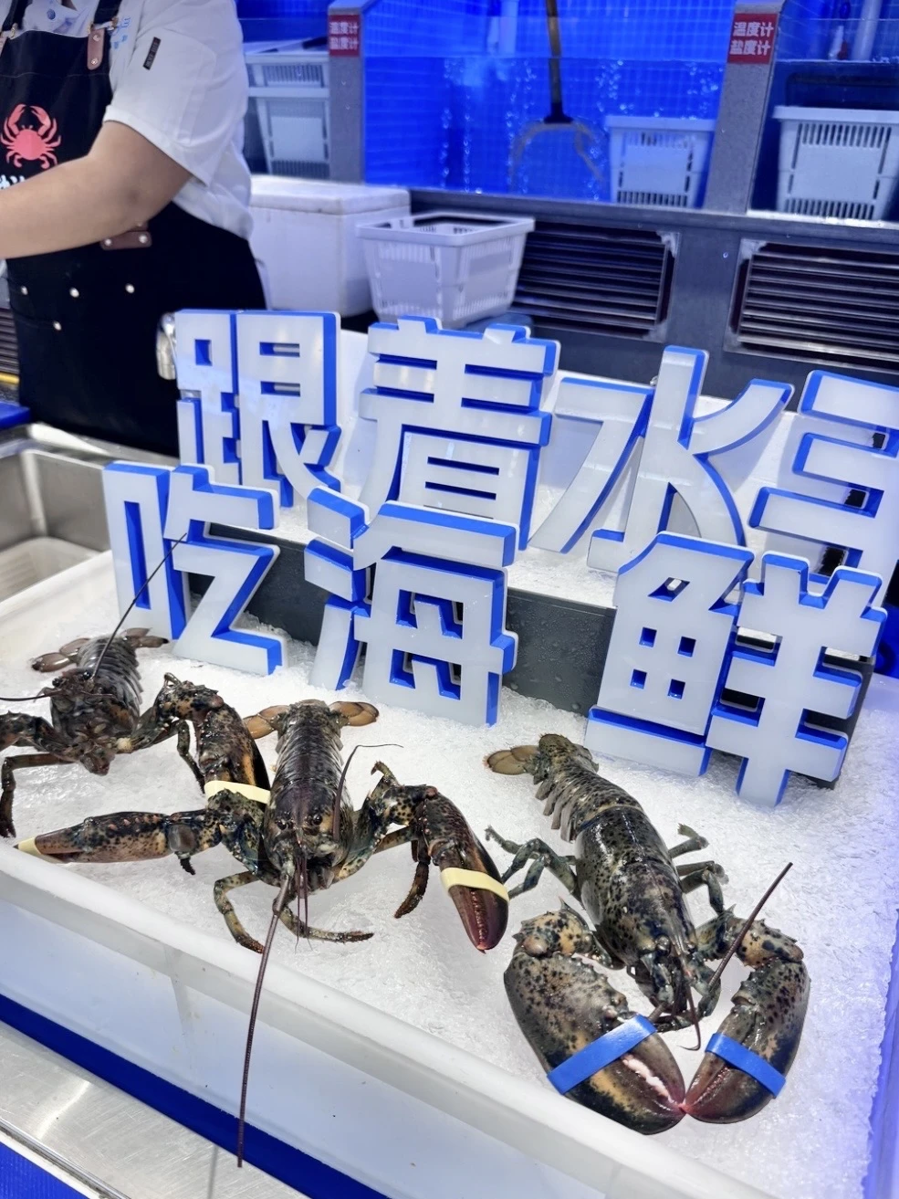唐山 | 🌊渤海水手龙虾节开始了❗️