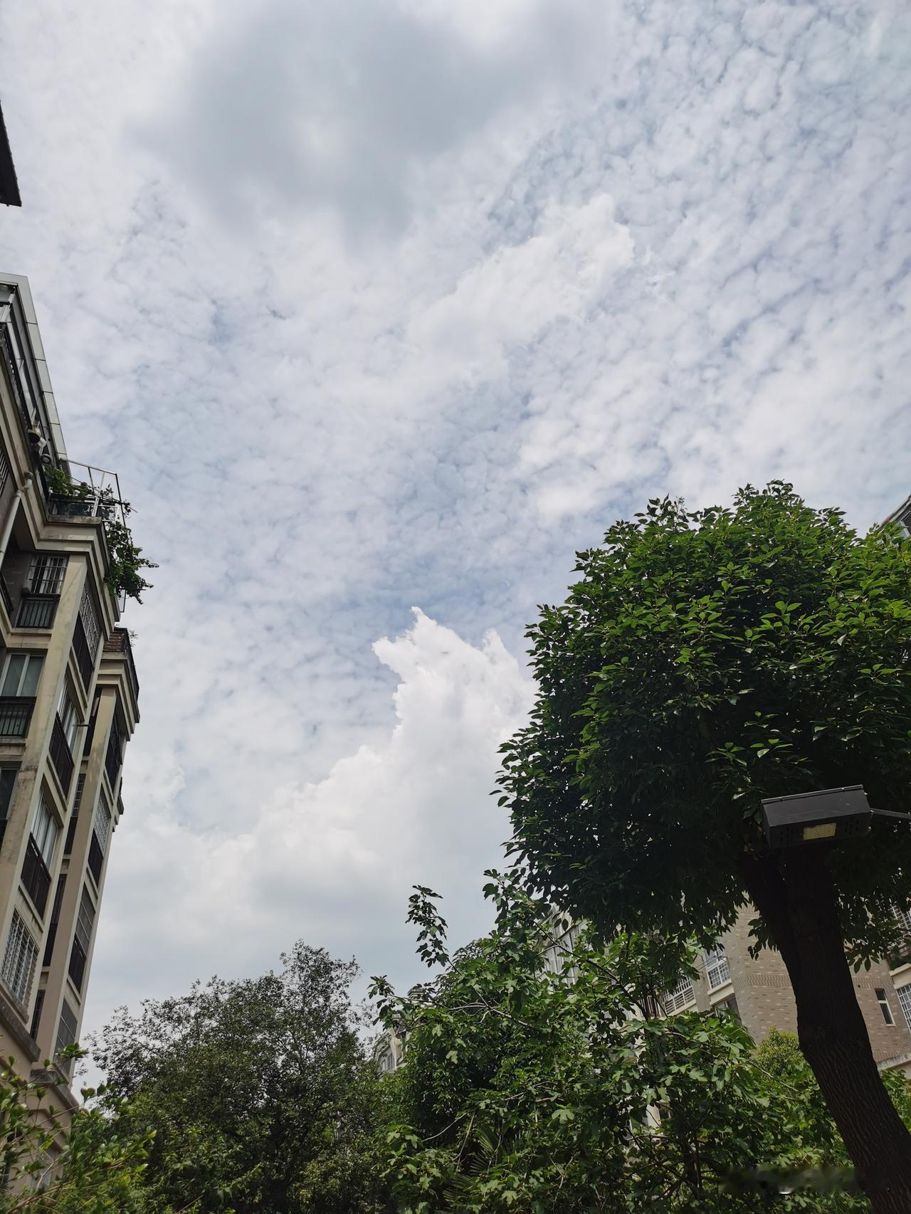 我最近拍的风景照就是天空。
随手一拍，不用修图就超绝。
不同时间拍出来效果不同。
