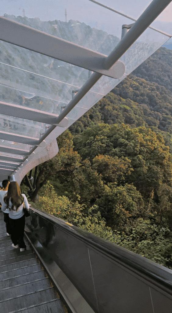 白云山开挂无痛登顶！再也不用爬几步就喘，被陡坡直接劝退，登顶跟渡劫一样！现在广州