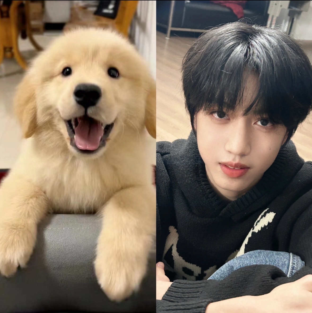 张桂源果然是ENFP快乐小狗小狗形态被发现咯