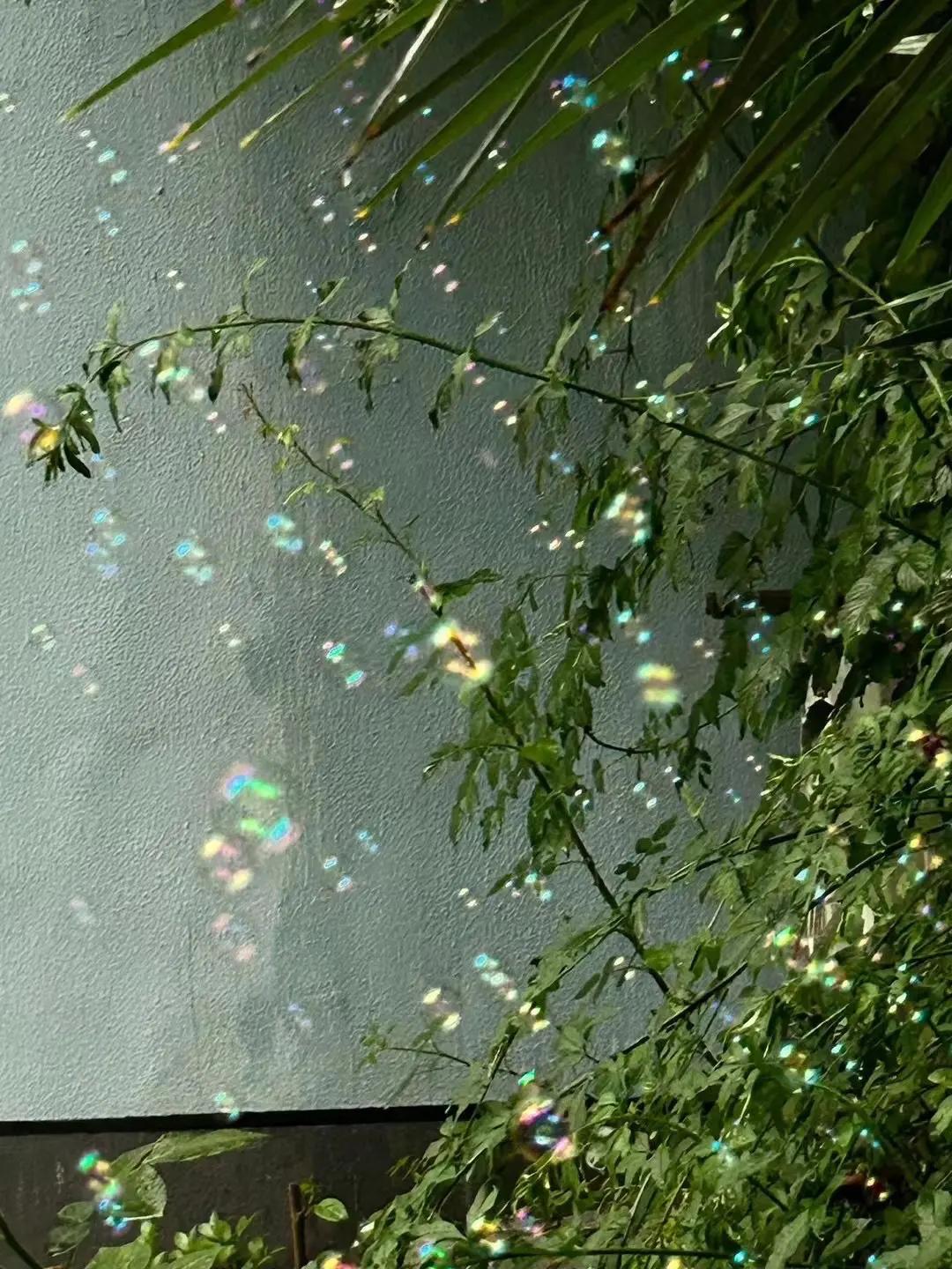 生活，不是等待风暴过去，而是学会在雨中起舞

你是否觉得自己的生活平淡无奇？是否