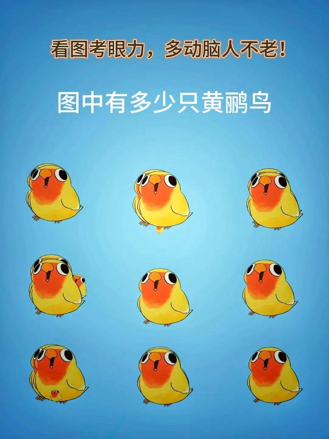 看图识眼力？请猜猜看图中有多少只黄鹂鸟？