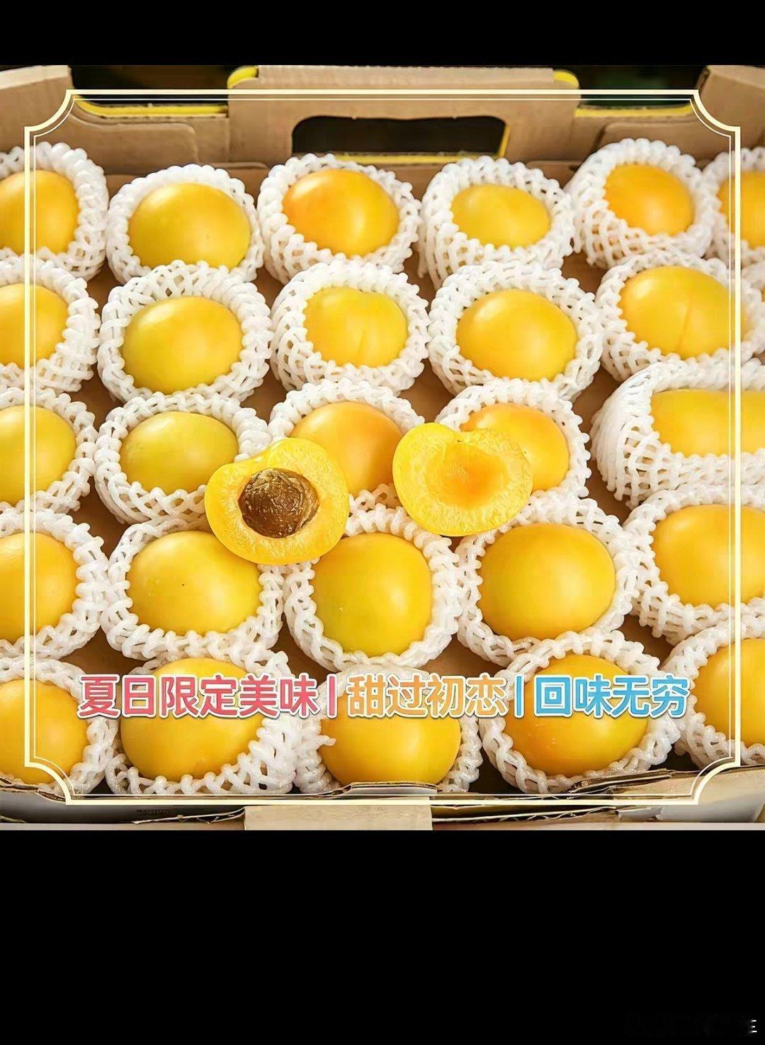 自从前几年去新疆摩旅了一趟当时是在库车吃到的小白杏 路边好多卖的 那是我第一次吃