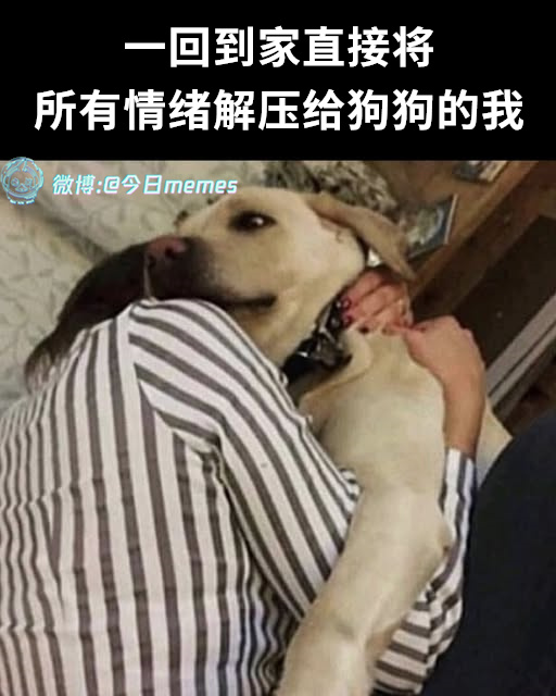 收着（9gag）今日meme 今日memes