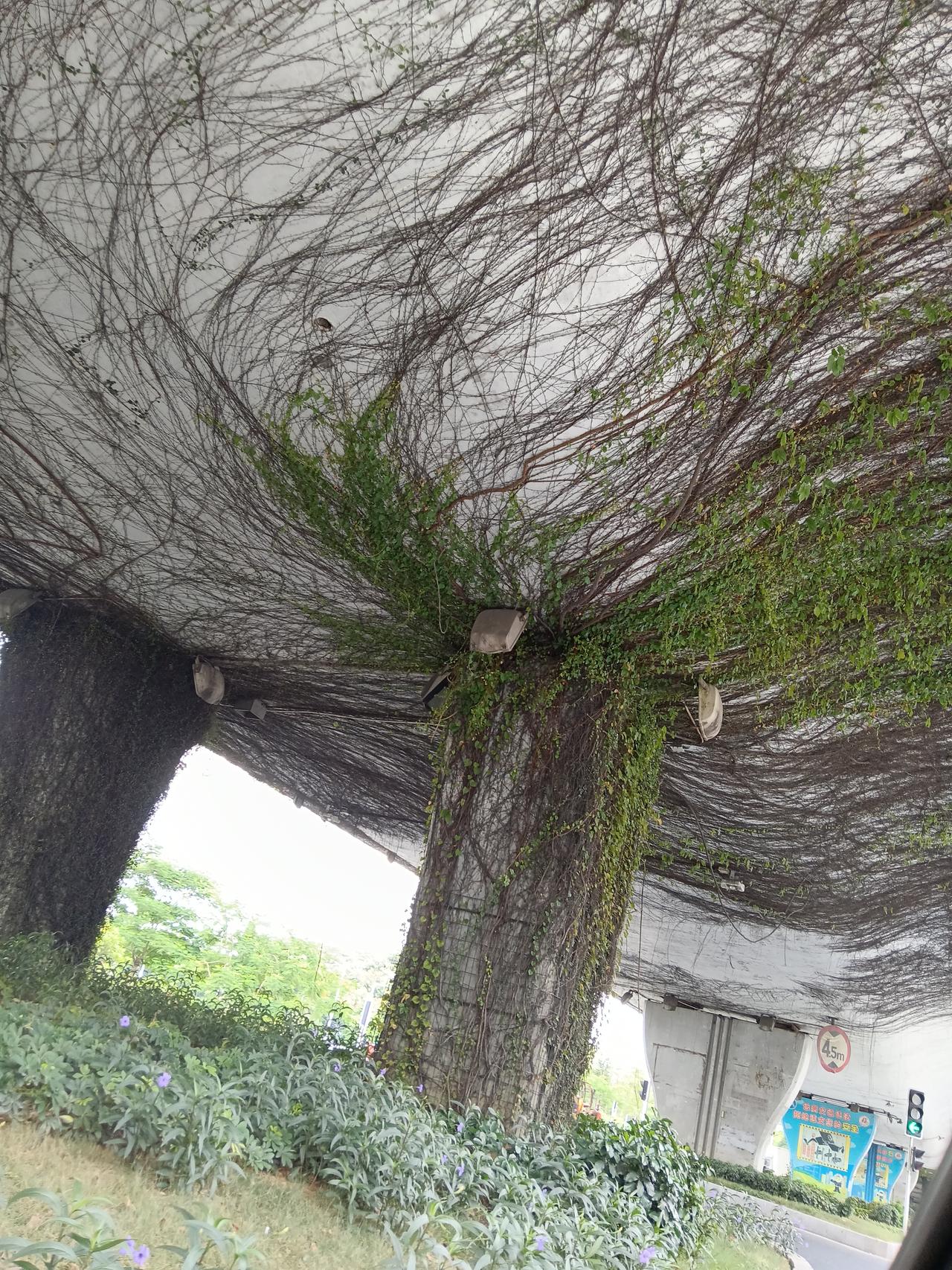 分享城市新鲜事 今儿村里网格员来通知，说我这儿的房子是危房，明晚有超强台风，让我