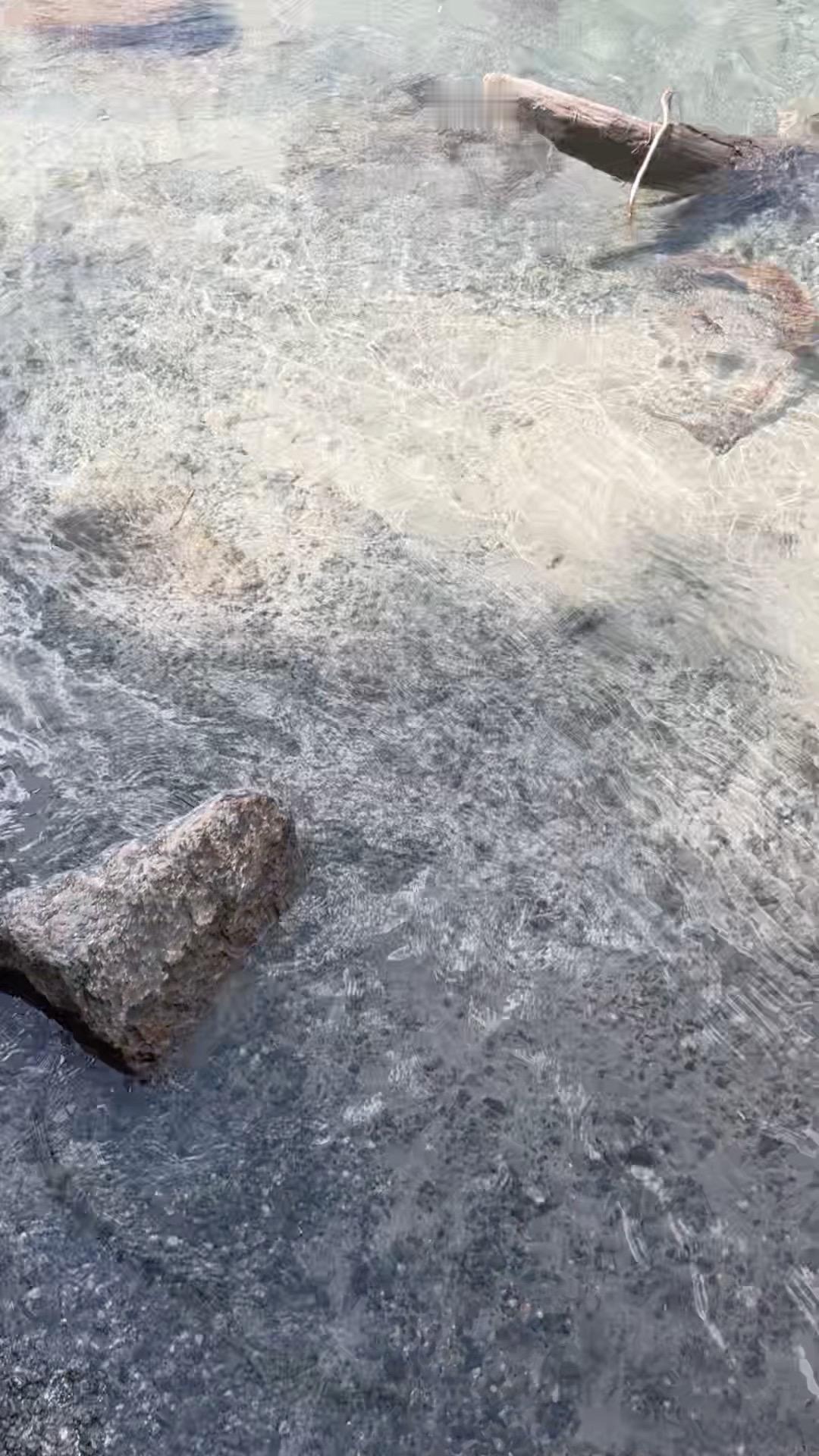 善良一定要带有锋芒 否则也是在助恶  小心那种得寸进尺的角色 你善意放...