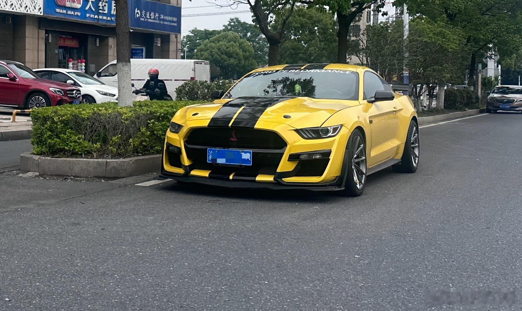 一台眼镜蛇包围的野马小黄车，还挺帅气 
