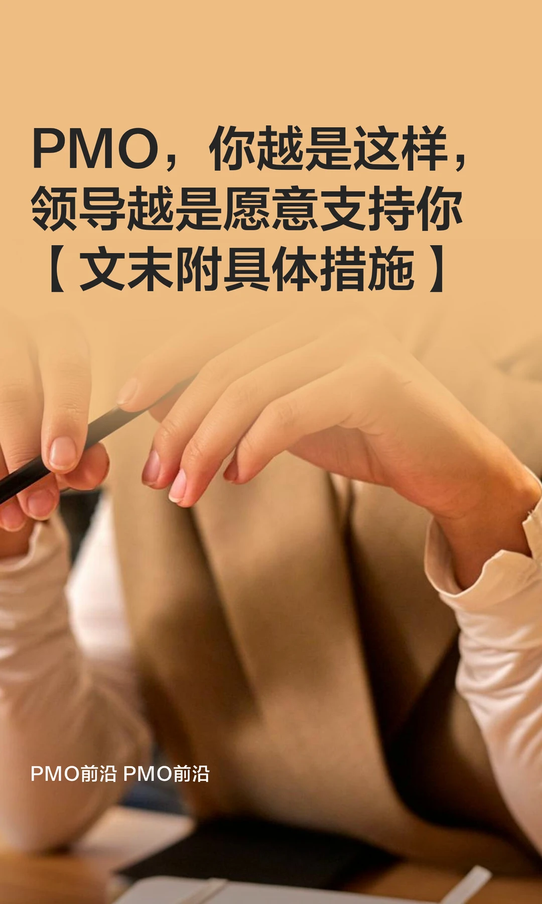 PMO，你越是这样，领导越是愿意支持你【文