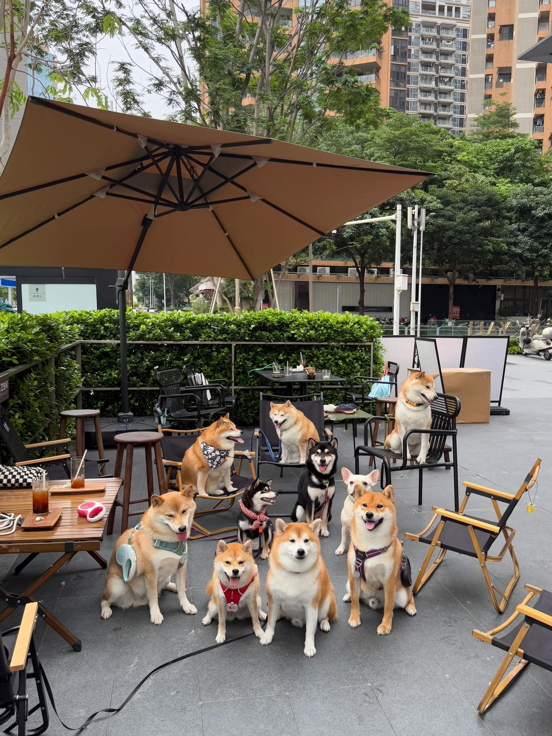 哈哈哈哈，太可爱啦，都是微笑天使…