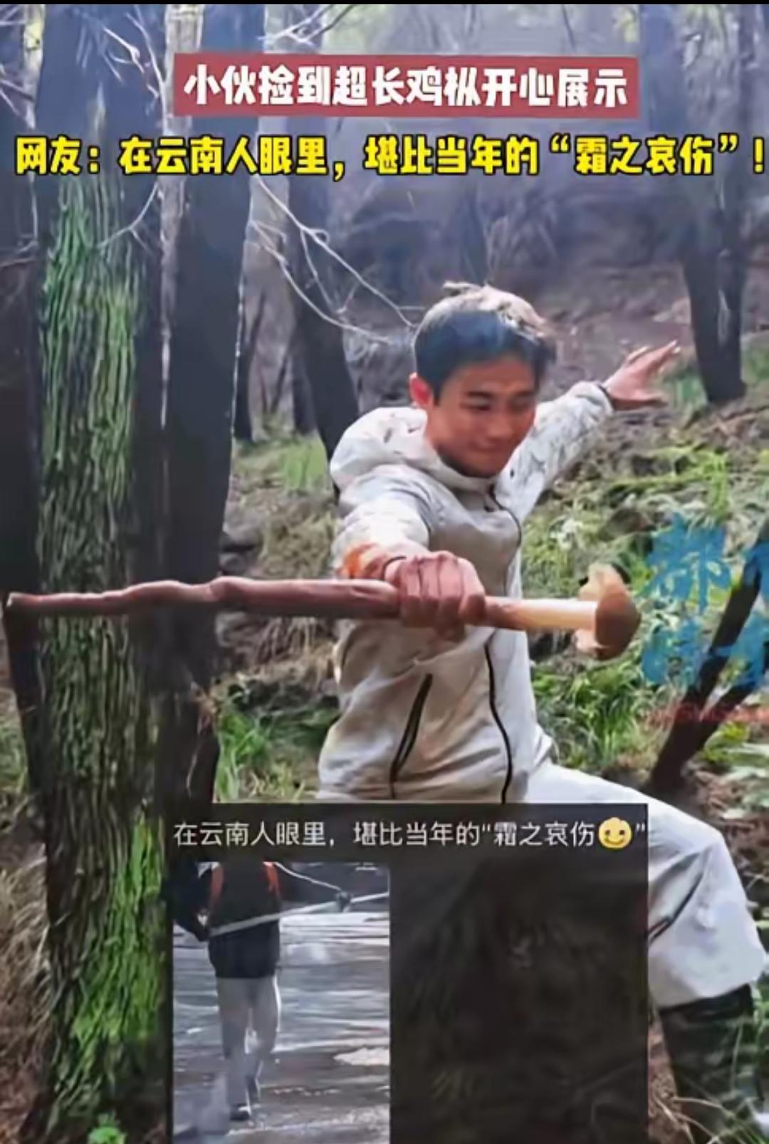 重庆一位小伙上山溜达一圈，竟然捡到了一根快有他小臂长的“巨无霸”鸡枞！这宝贝疙瘩