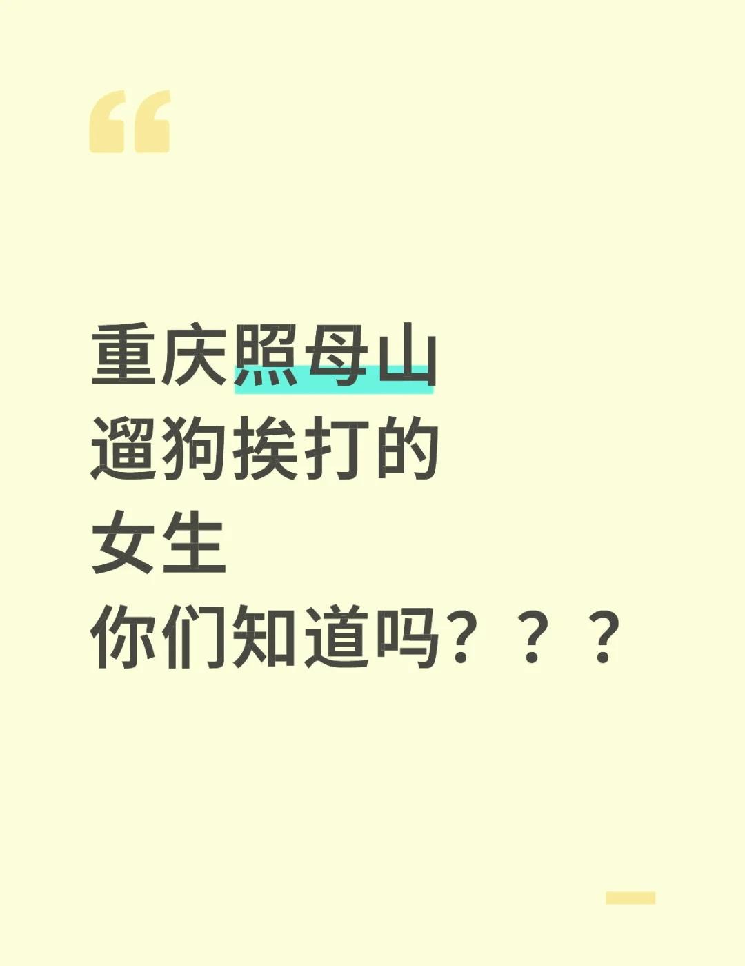 这真的是2025年吗？？？
牵了狗绳还要被打
重庆 重庆本地生活 打人 震惊