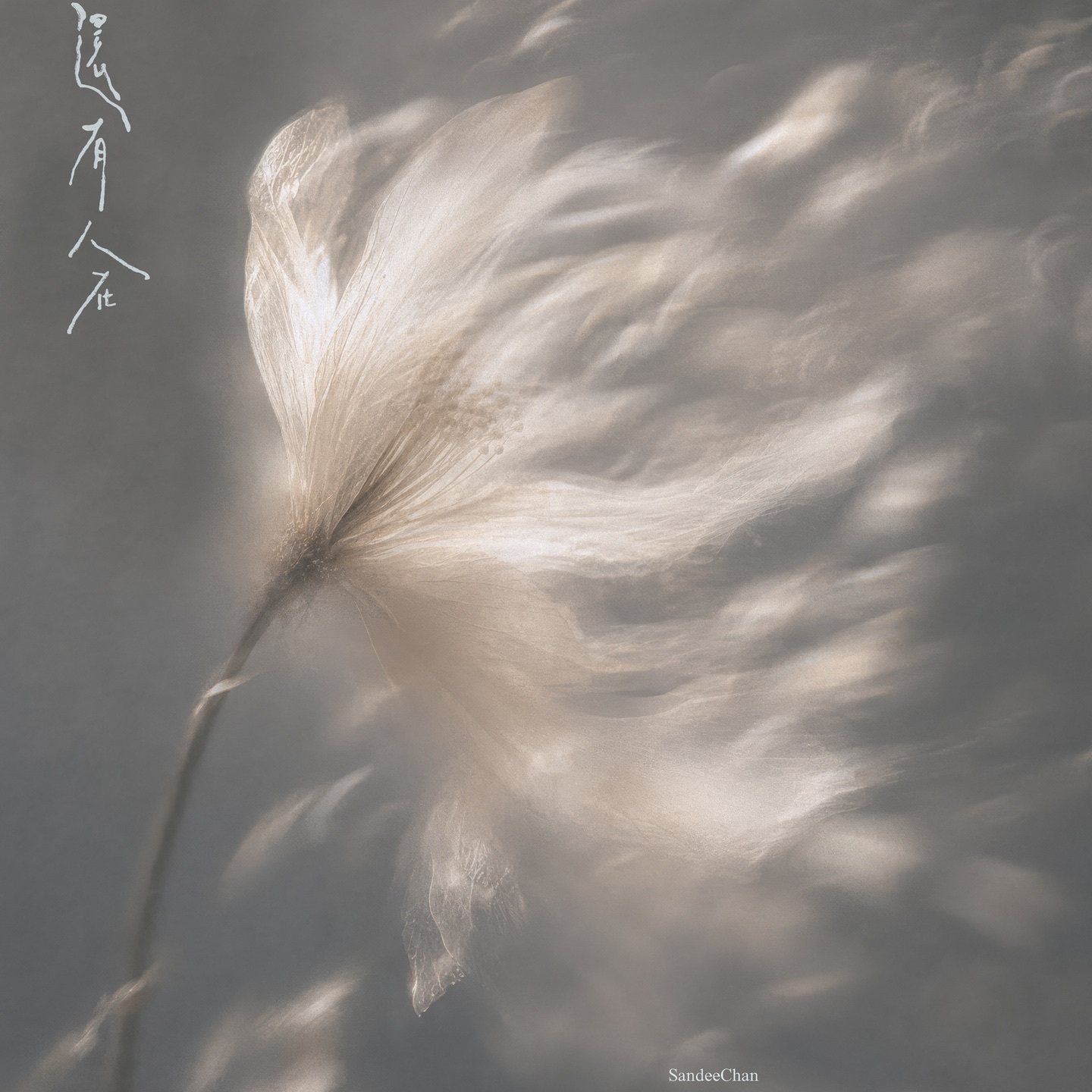 这几年形容音乐作品或现场演出的时候，最常用到的词是“站在一起”。这四个字里，包含