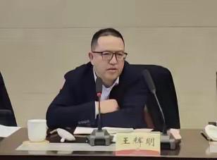 重庆这次反腐行动太给力了！8月7日官方通报，中国移动重庆公司政企客户部总经理王辉