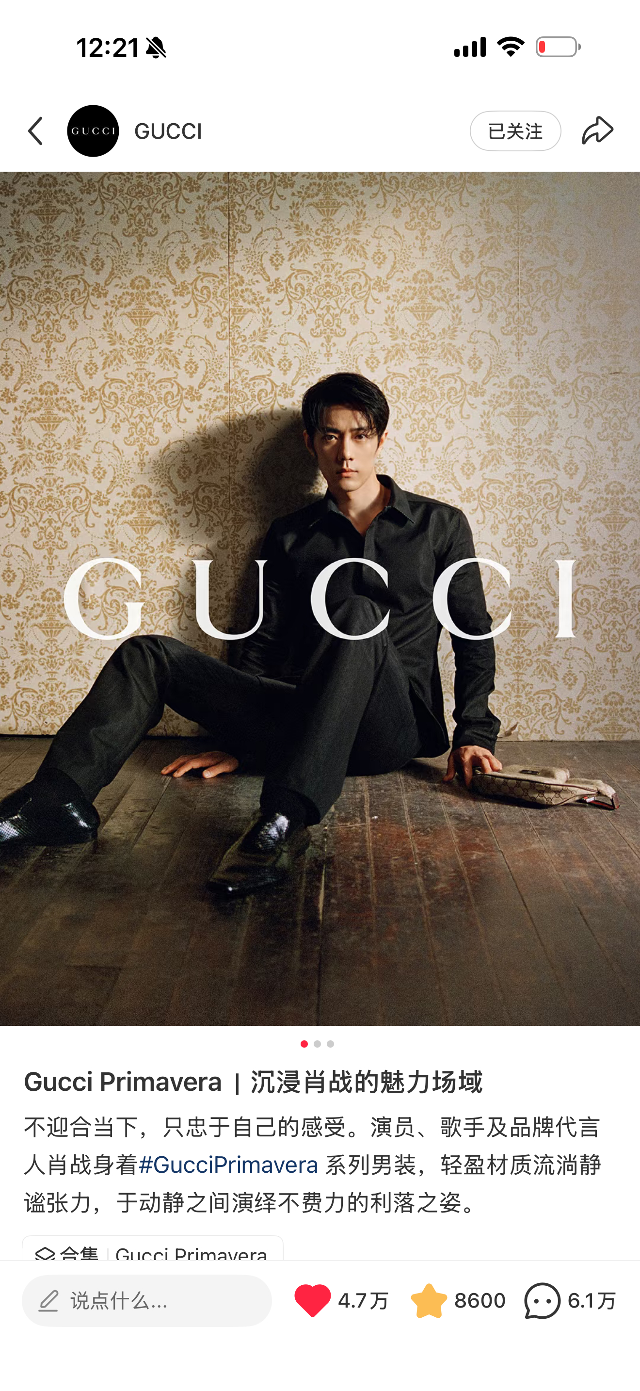 肖战[超话]肖战gucci品牌代言人 Gucci 🍠，小飞侠再去点点赞，切耗子