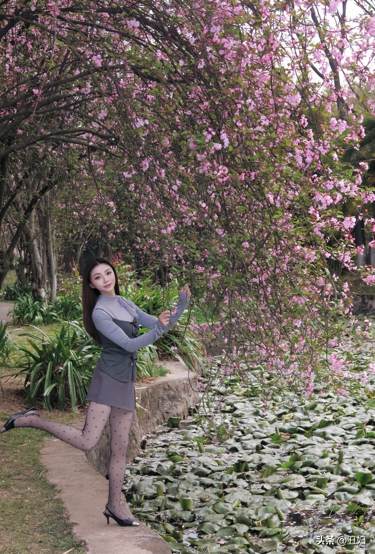 少女风写真照樱花树下，少女轻倚，春意盎然。