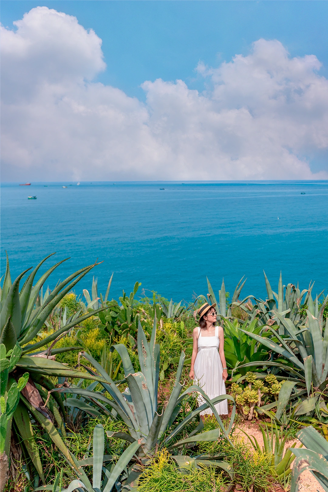 放弃三亚了‼️和家人到23 ℃涠洲岛，人少景美