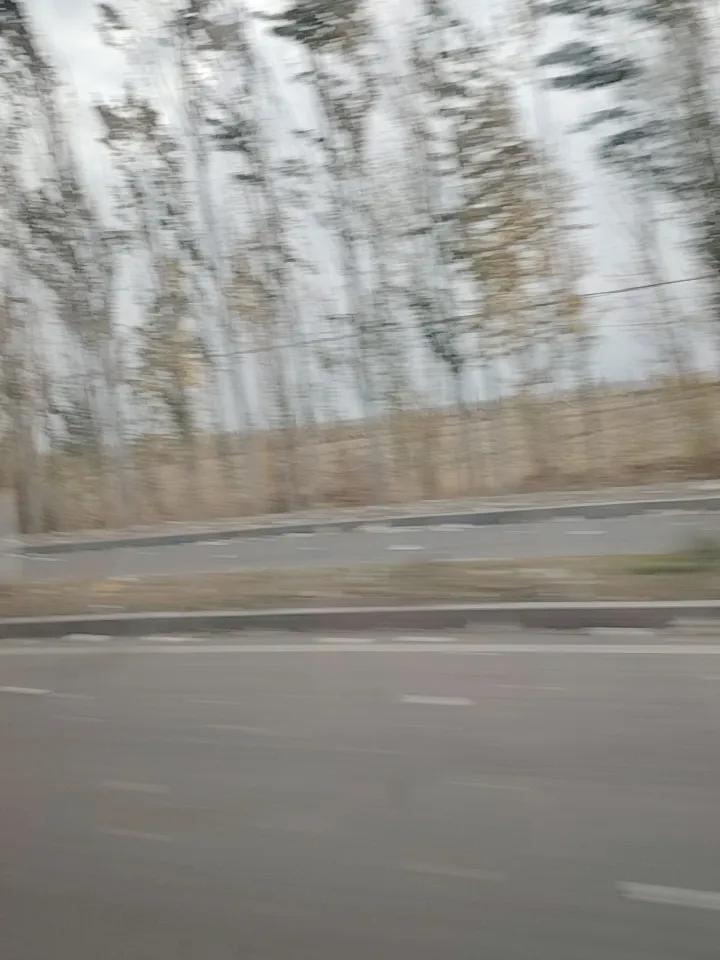 山海经里的青丘真的存在吗?
它更可能是神话传说中的地名，常与九尾狐等意象关联。