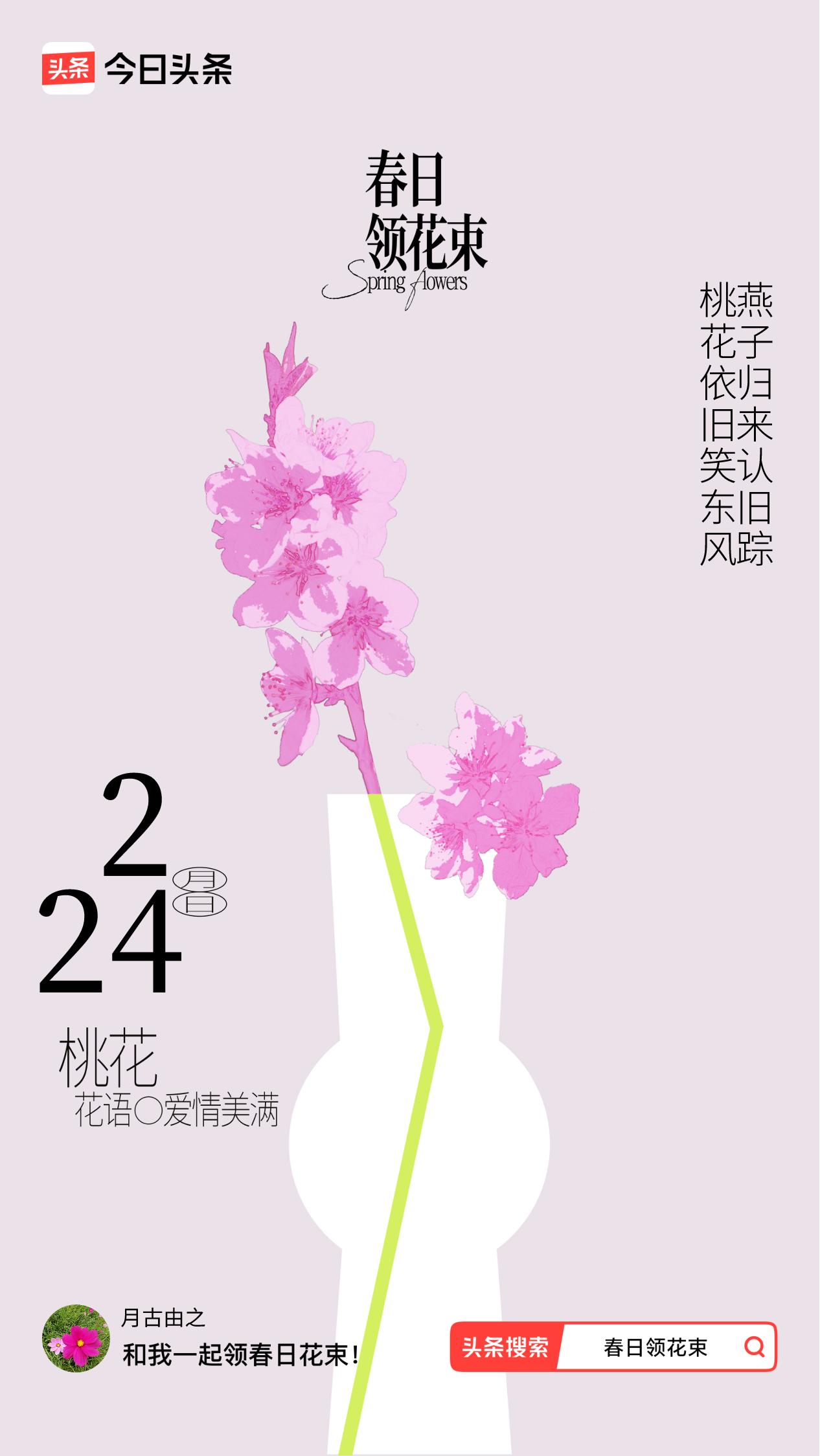 又是桃花！