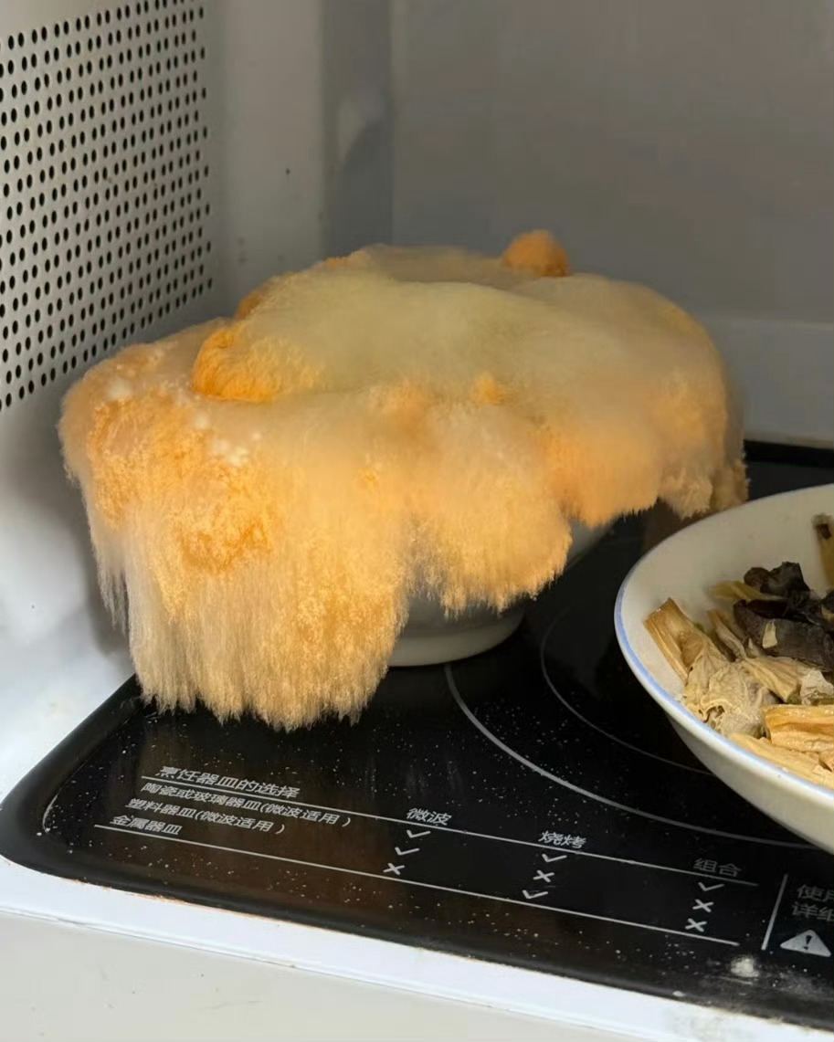 这是什么菌啊？菜放微波炉一个多星期忘记拿出来今天热菜突然看到这一幕[允悲] ​​